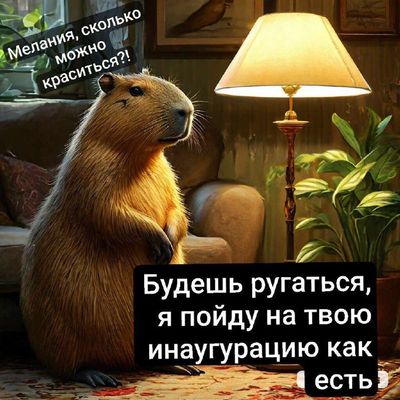 Post media