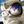 sonadow daily avatar