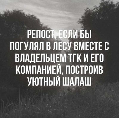 Post media