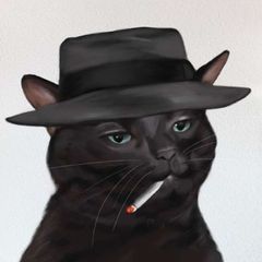 🐈 Котопупси 🐈⬛️ avatar