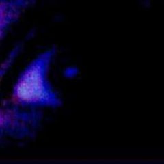 ШИЗЫ КФ avatar