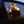 TWITCH conf XPP avatar