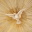 religion safe place🕊️🙏 Avatar