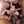 Legal Porno 18+ 💋 avatar