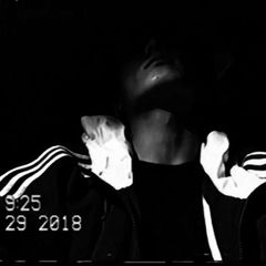 Vigilantes avatar