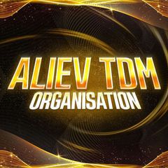 Отзывы/выплаты ALIEV TDM ORGANISATON avatar