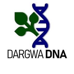 Dargwa DNA avatar