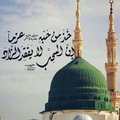 سَــــلَام🤍🕊 avatar