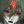 xǝn t avatar
