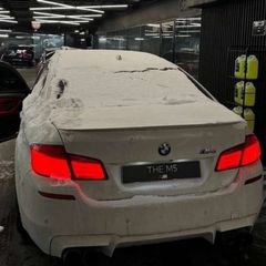 365 N1pala avatar