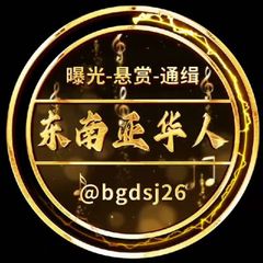 东南亚华人 avatar