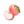 peach cacao confession 🍑 ⊹₊ ⋆ avatar
