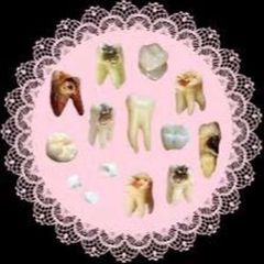 🎀Анатомический театр Такумо🎀 avatar