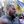 🇺🇦GANUL🇺🇦 avatar