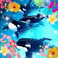 Hawaii confession 🌊🌺!! avatar