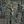 Divine Machinery confession avatar
