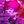 # Lust . Net avatar