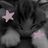 Fluffy chat ☾