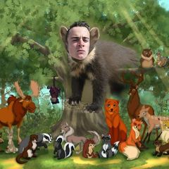 Лесная братва 🐾 Куницы avatar