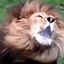 The TRUTH Roars Avatar