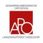 APO - Düsseldorf | Info-Kanal Avatar