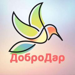 Волонтёрская организация «ДоброДар» Владивосток avatar