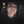 𝐁𝐋𝐎𝐎𝐃𝐘 𝐁𝐎𝐘. avatar
