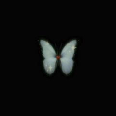 4AM avatar