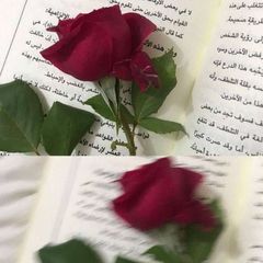 لـــ نــورا.♡ avatar