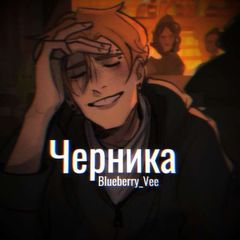 ᯓЧерника ࣪ ₊ ° avatar