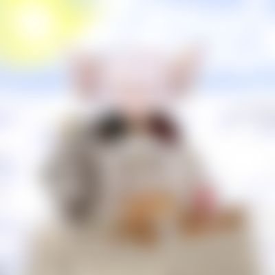 Post media background