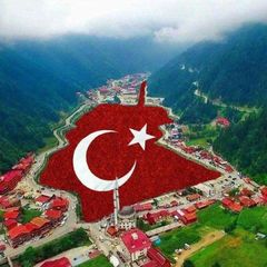 TURK TILI🇹🇷🇺🇿MILLIY VA TYSga tayyorlov MAMATKOBILOVNA SAMARQAND avatar