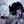 𝑠𝑎𝑝𝑝ℎ𝑜𝑏𝑒𝑙𝑙 𝑐𝑜𝑛𝑓𝑒𝑠𝑠𝑖𝑜𝑛!~🔮❄️ avatar