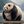 FAT PANDA CONFESSION [🐼🎍] avatar