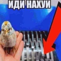 чат фанатов фрио и меря avatar