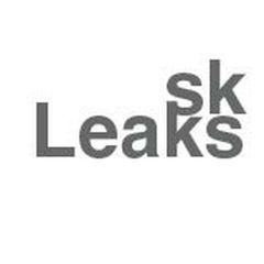 Skolkovo Leaks avatar