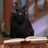 cats_and_texts