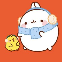 Molang 몰랑 avatar