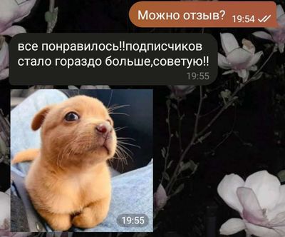Post media