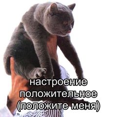 переходник нбкф avatar
