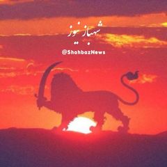شهباز نیوز avatar