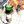 4chan confession avatar