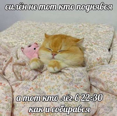 Post media
