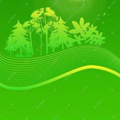 广州紫瑶宫🆑 avatar