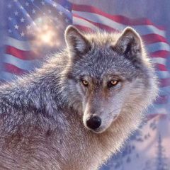 The Wolf Den avatar
