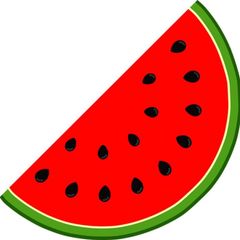 吃瓜猎奇🍉奇趣百科 avatar