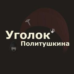 Уголок Политушкина avatar