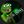 Dot Connecting Anons avatar