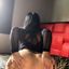Danicita69 Avatar