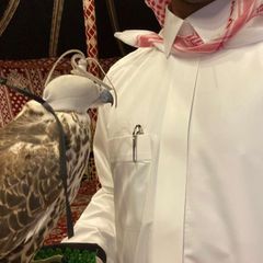 ᷂شـروّد avatar